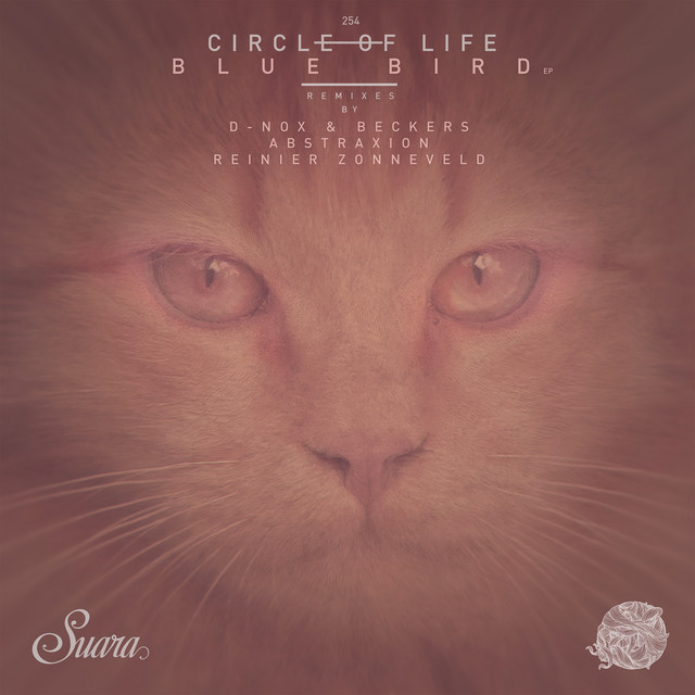 Circle of Life Photo