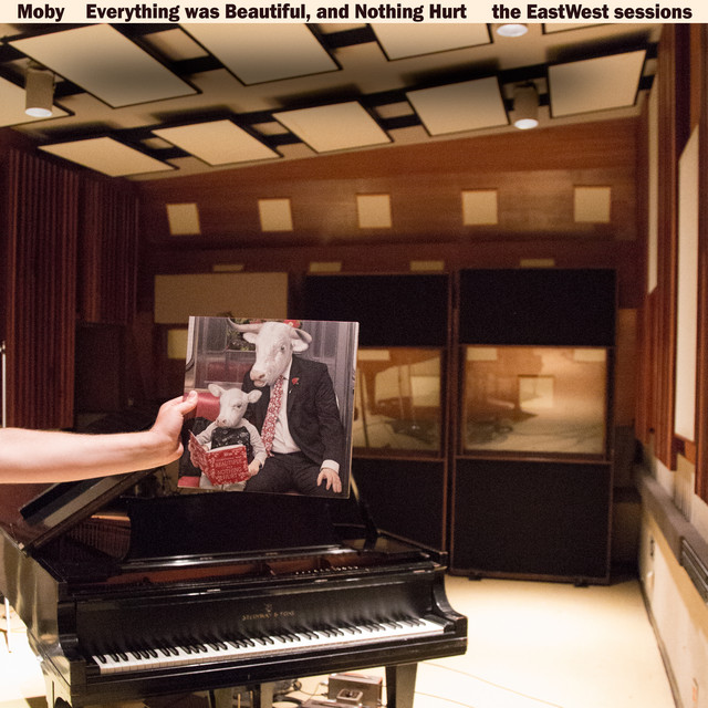 Everything Was Beautiful, And Nothing Hurt (The EastWest Sessions) cover art