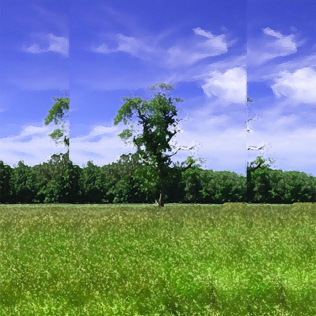 Tree cover art