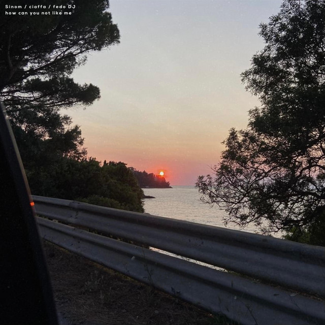 how can you not like me (fedo DJ & ciaffa Remix) cover art