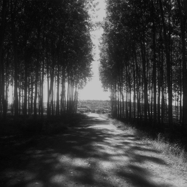Depth Structure I cover art