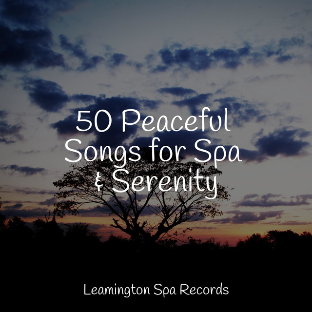 50 Peaceful Songs for Spa & Serenity - Album by Bedtime Baby | Spotify