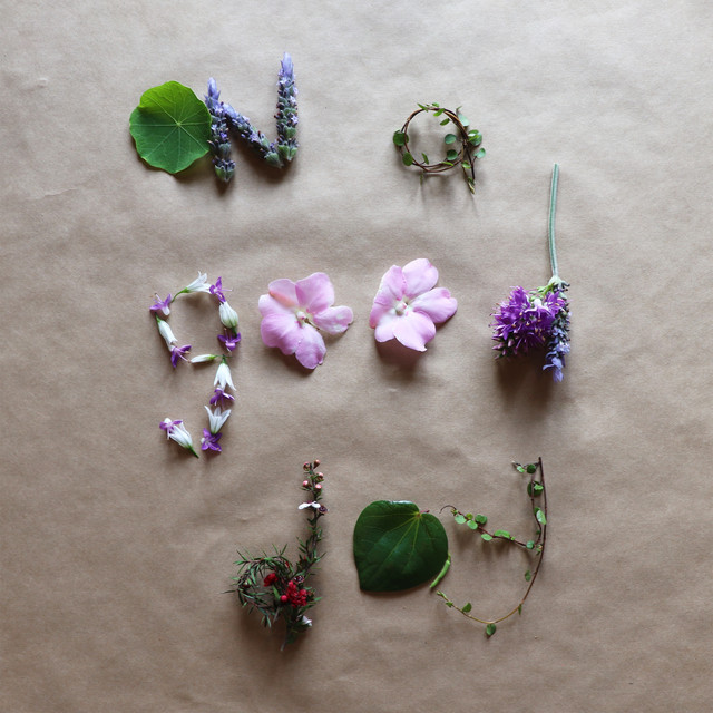 Hihi & The Stitchbirds