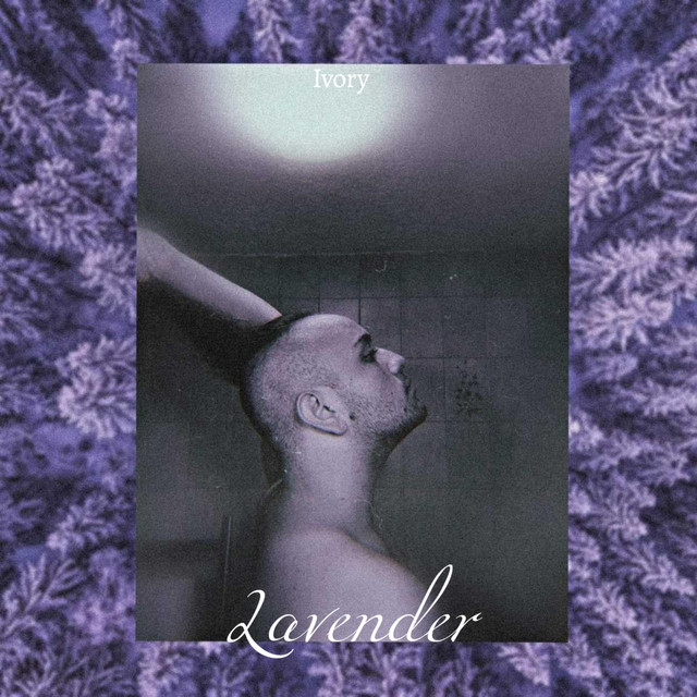Lavender cover art