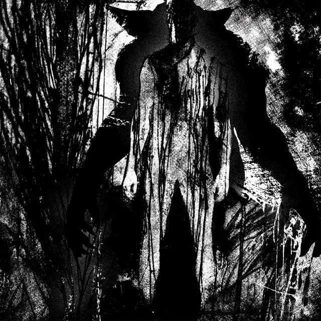 Split with Insistent cover art