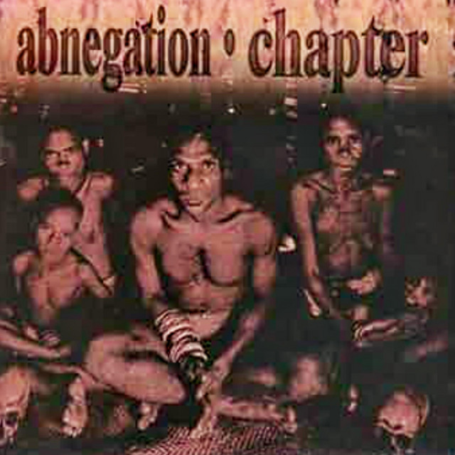 Abnegation (Chapter Split) cover