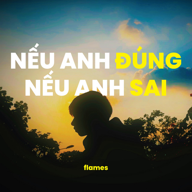 NẾU ANH ĐÚNG NẾU ANH SAI (feat. Heki) cover art