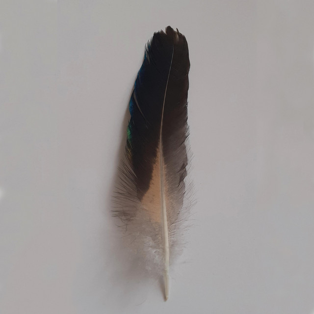 High cover