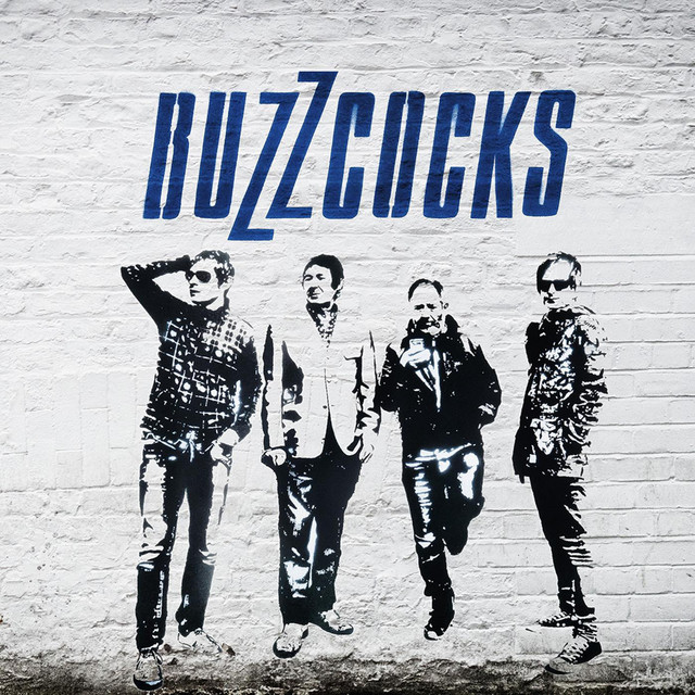 It's Not You by Buzzcocks