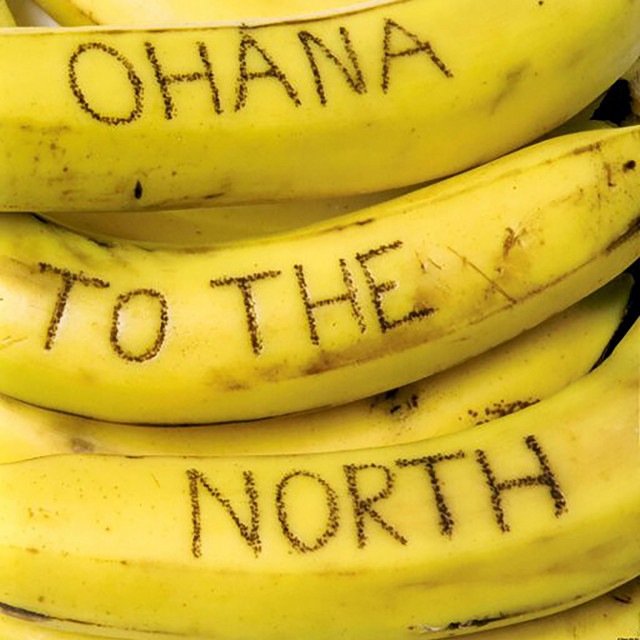 To The North