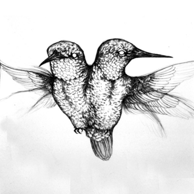 Pith cover art