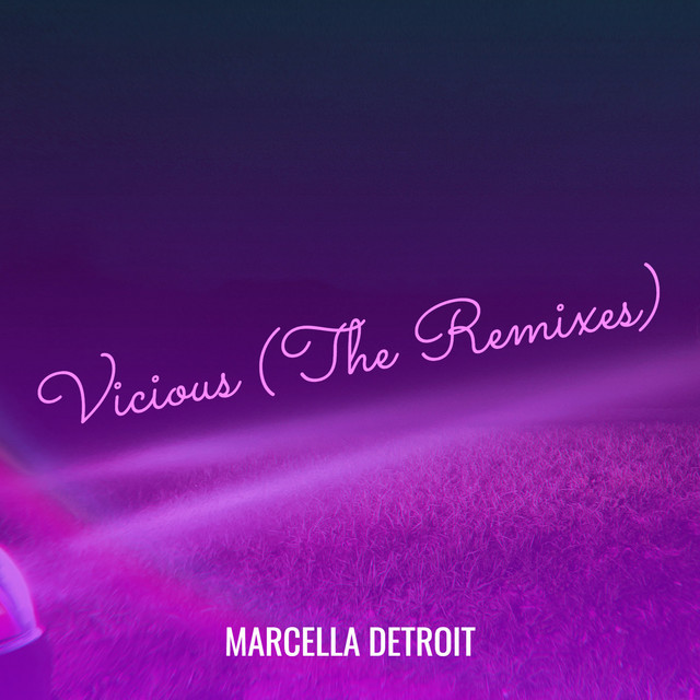 Vicious Bitch (The Remixes) cover art