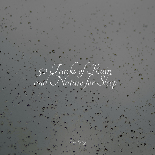 50 Soothing Rain Tracks - Album by Música Zen Relaxante | Spotify