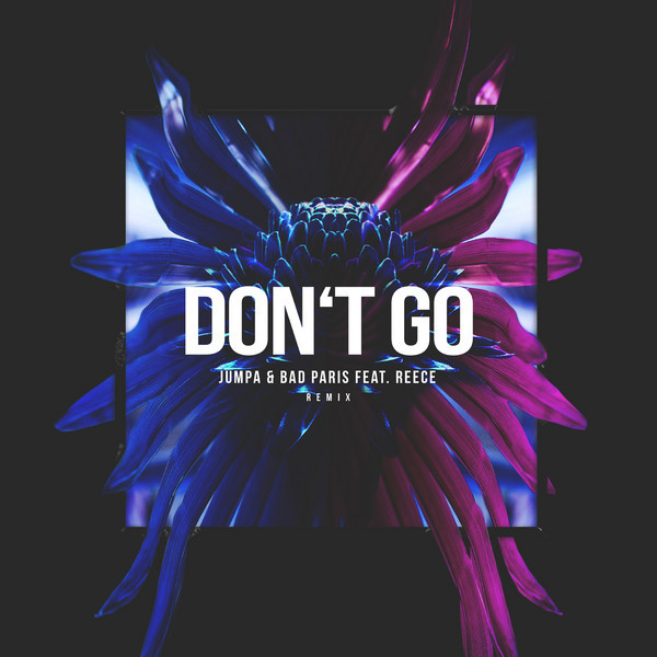Don't Go - Remix