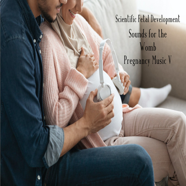 Scientific Fetal Development Sounds for the Womb Pregnancy Music V cover art