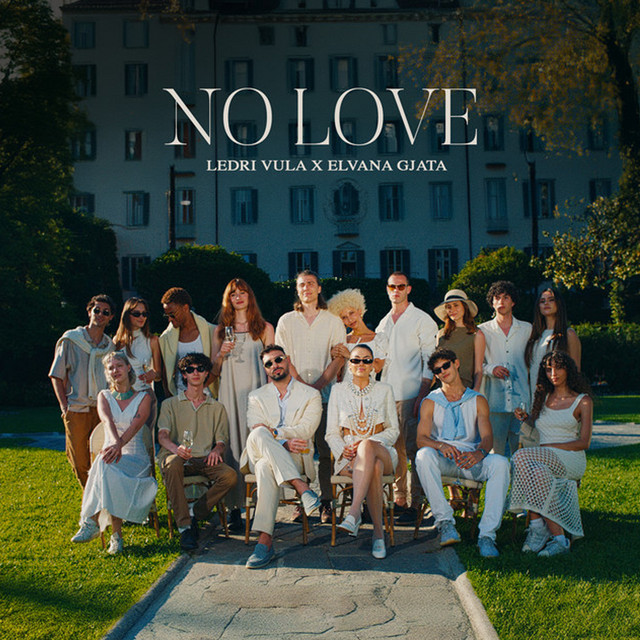 NO LOVE by Ledri Vula