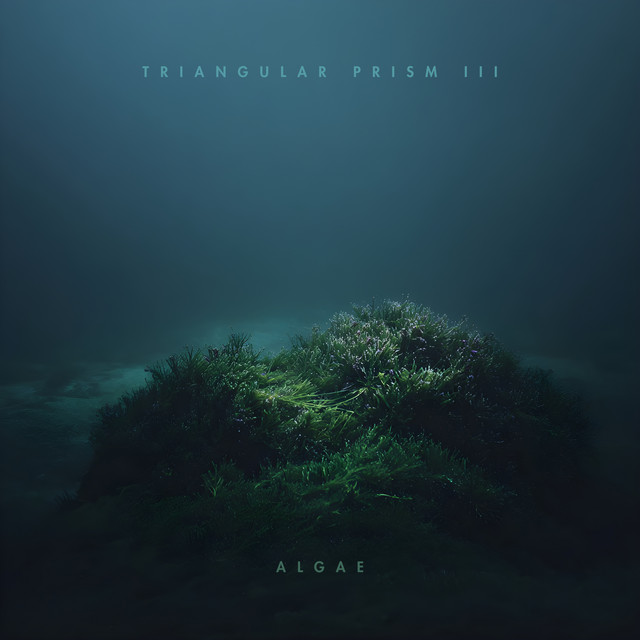 Algae cover art