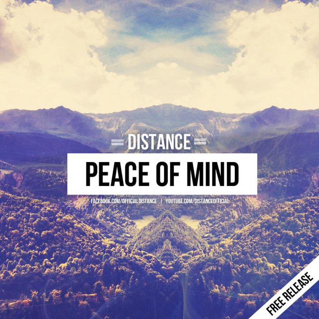 Peace of Mind - Single by Distance | Spotify
