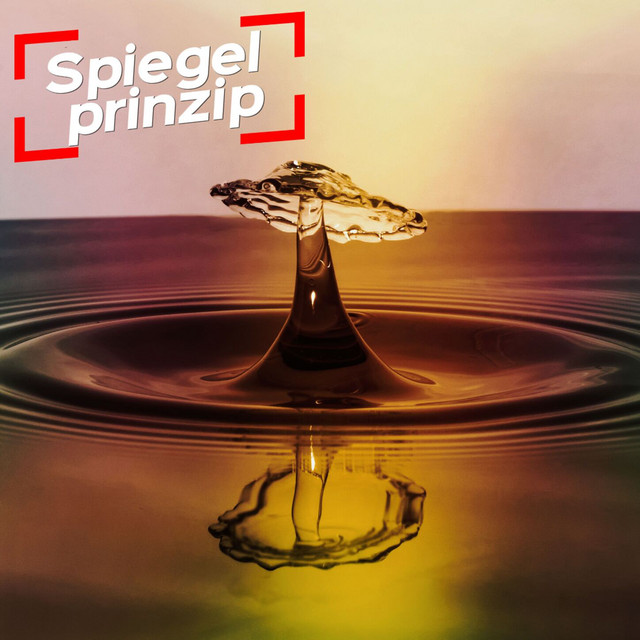 Spiegelprinzip