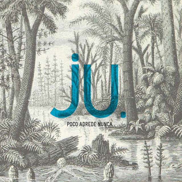 Poco Adrede Nunca cover art