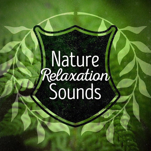 Nature: Relaxation Sounds - Album by Sounds of Nature Relaxation | Spotify