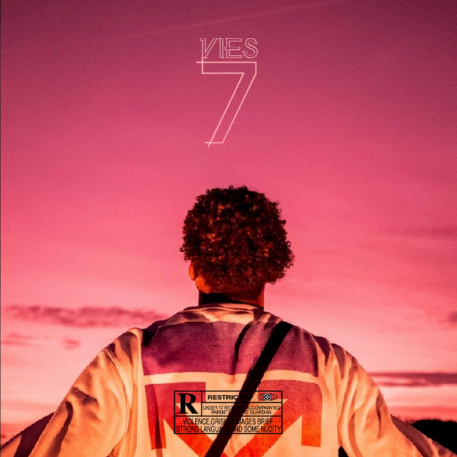 7 vies cover art