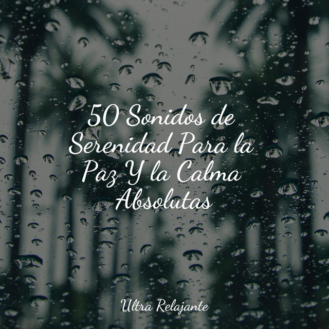 25 Canciones Para Dormir Por La Paz Y La Calma – KSYRF