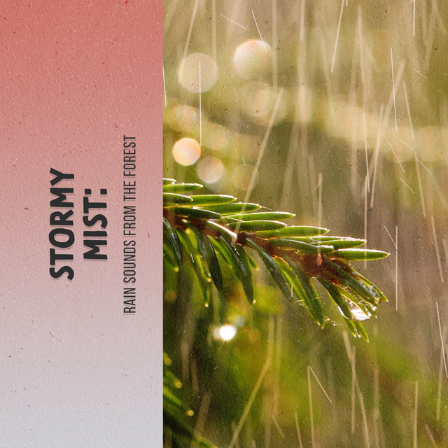Stormy Mist: Rain Sounds from the Forest cover art