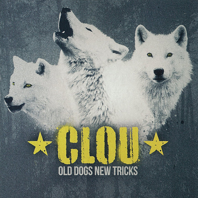 Old Dogs New Tricks cover art