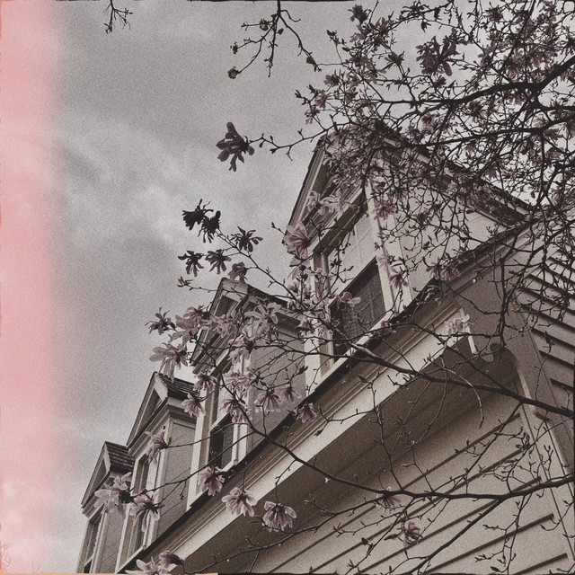 Lucid cover art