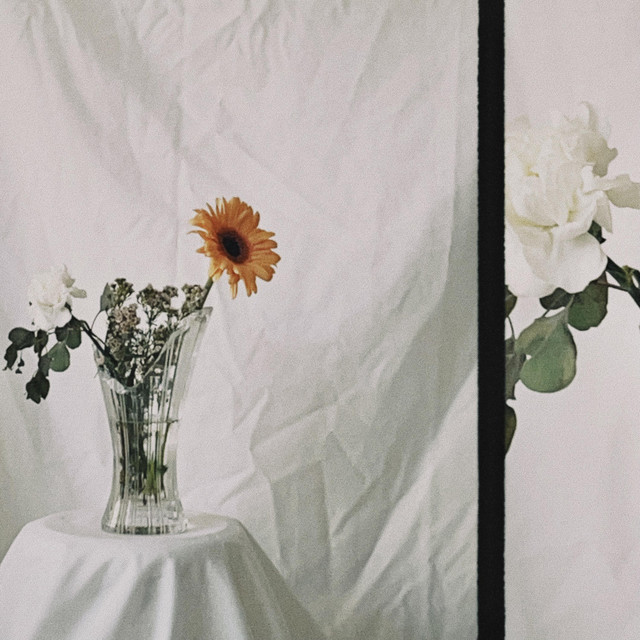 Vase cover art