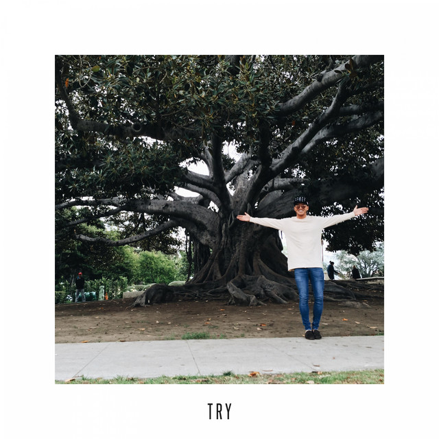 Try cover art