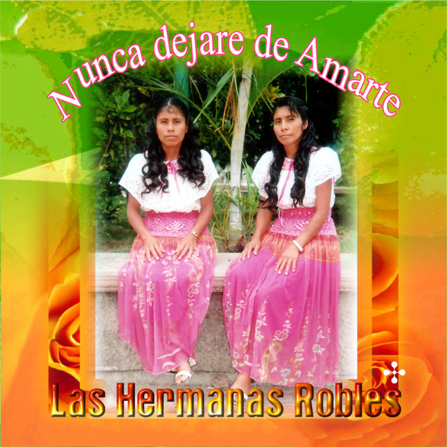 Nunca dejare de Amarte cover art