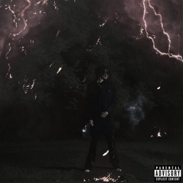 The Upside Down cover art