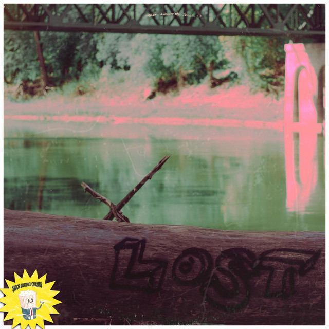 The Jonas Brothers