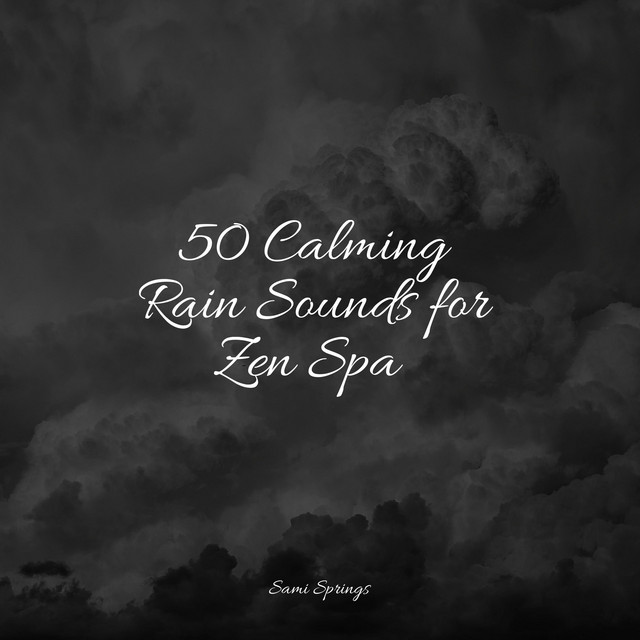 50 Calming Rain Sounds for Zen Spa - Album by Spa | Spotify