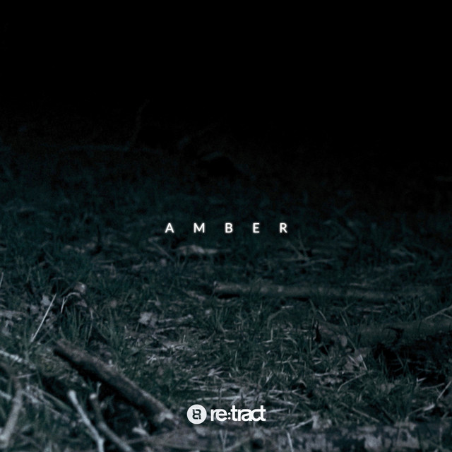 Amber cover art