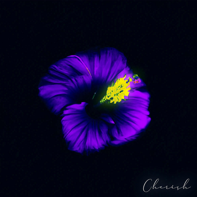 Cherish cover art