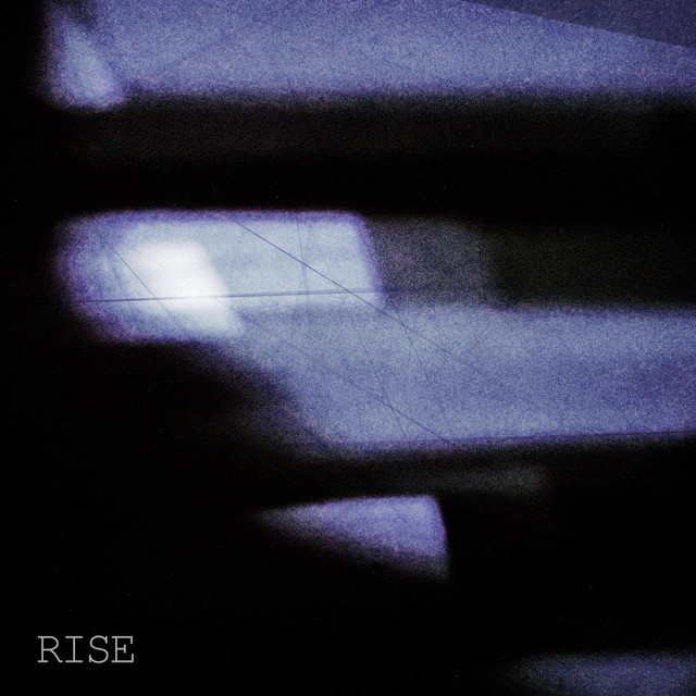 Rise - Compilation by Various Artists | Spotify