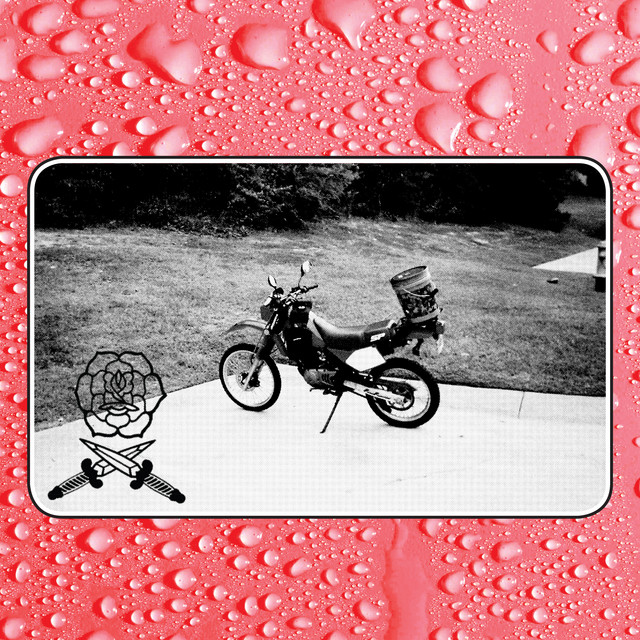 Say I Won't cover art