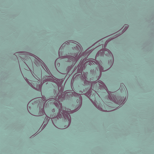 Minus EP cover art