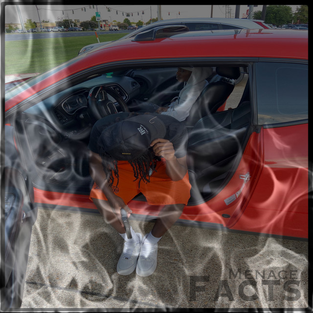 Facts cover art