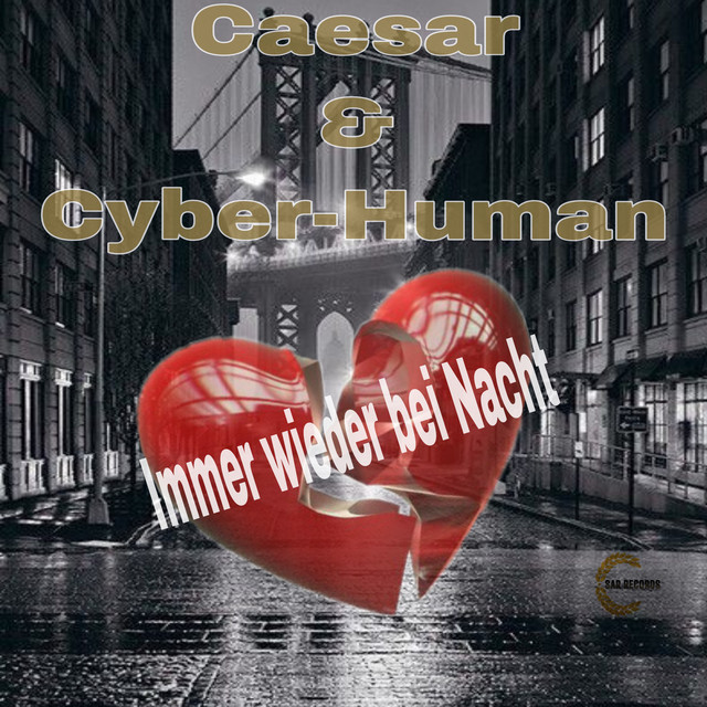Immer wieder bei Nacht (Radio Edit) cover