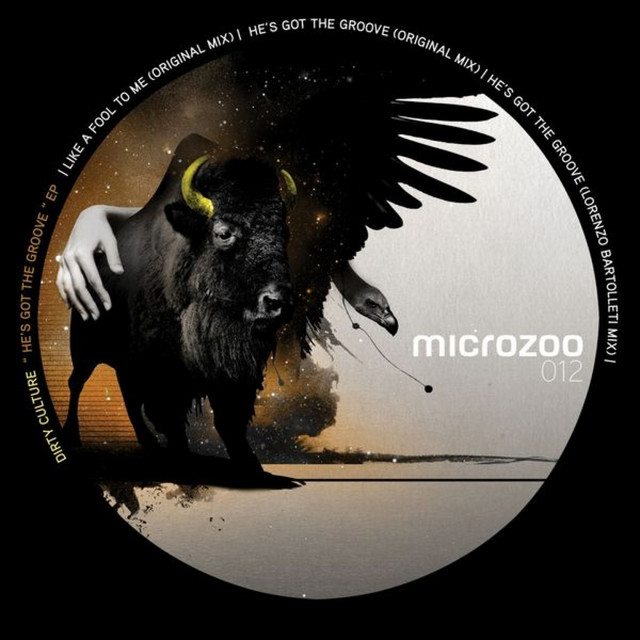 He's Got The Groove - Lorenzo Bartoletti Remix cover art