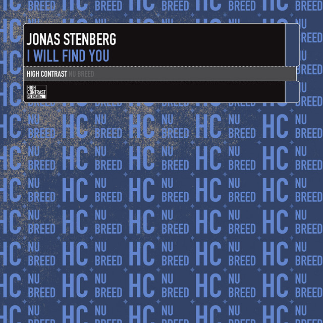 I Will Find You - Instrumental Mix cover art