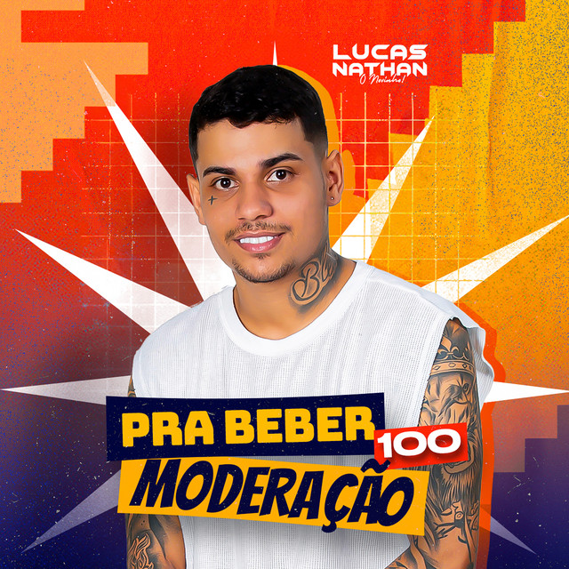 Pra Beber 100 Moderacao cover art