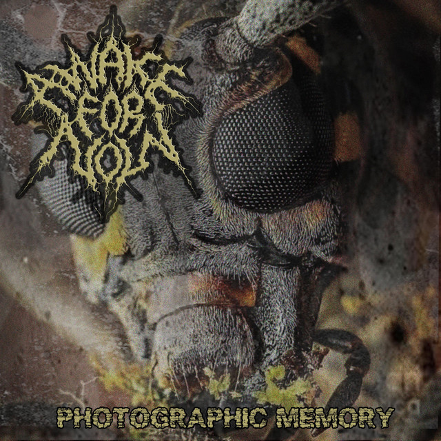 Photographic Memory - Single by Awake For Now | Spotify