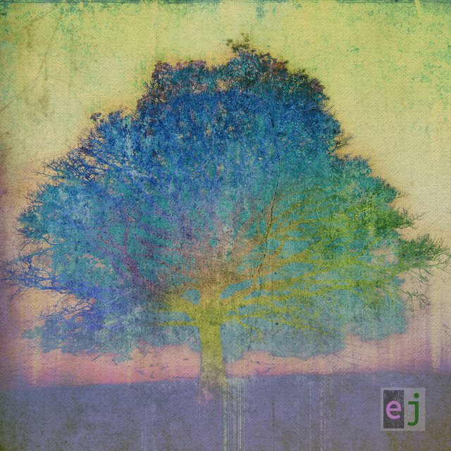 EJ cover art