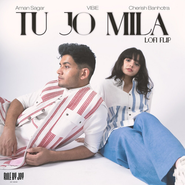 Tu Jo Mila - Lofi Flip