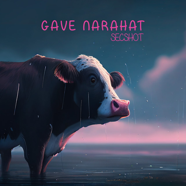 GAVe Narahat cover art